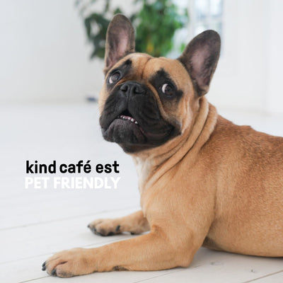 Un espace Coffee Shop Dogfriendly à Paris ?