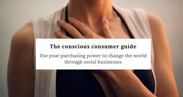 Free Guide The Conscious Consumer - E-Book Kindleggings.com